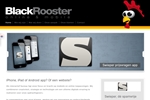 BLACK ROOSTER INTERNET COMPANY