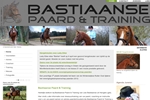 BASTIAANSE PAARD & TRAINING
