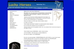 RUITERSHOP TD'S LUCKY HORSES