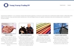 YOUNG YOUROP TRADING BV